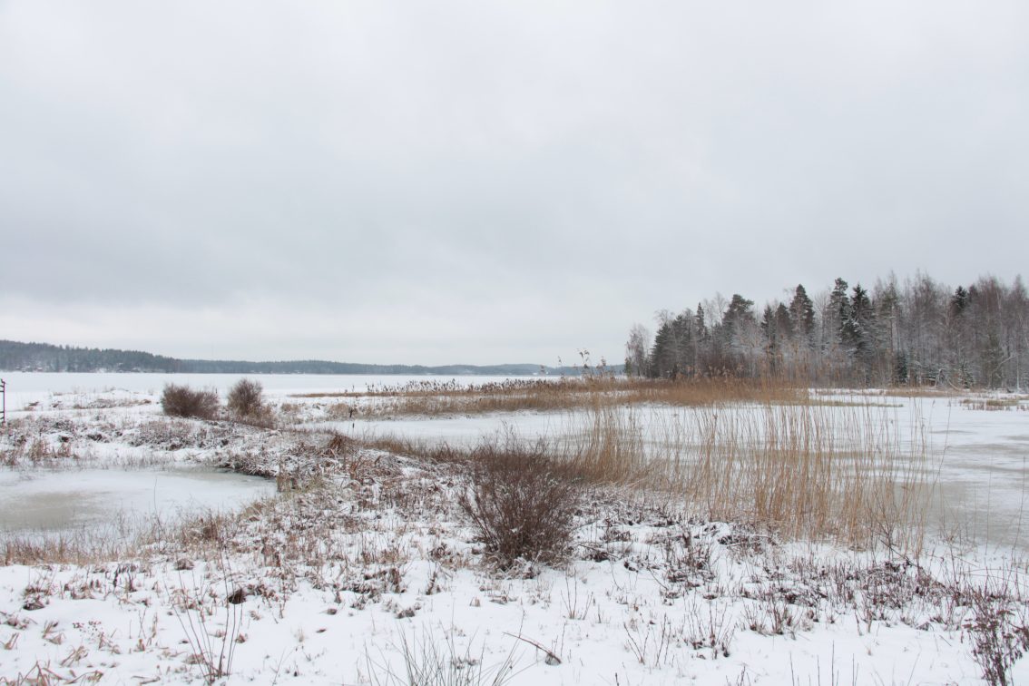Kosteikko Purailanviepä, Hollola
