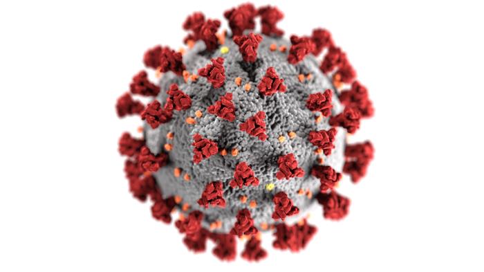 Koronavirus
